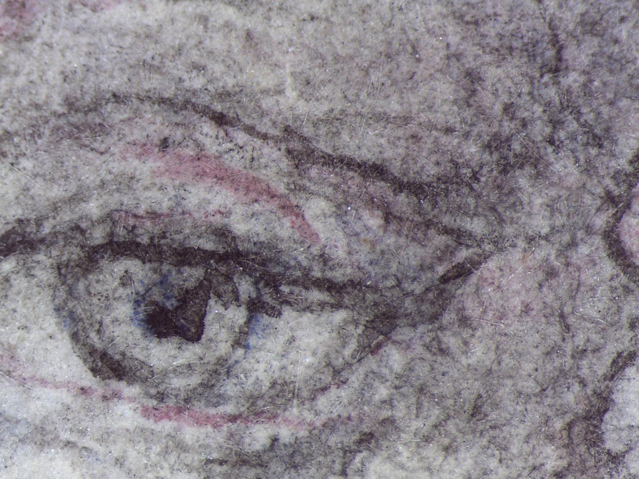 fig. 5<br/>
William Blake<br />
<em>Dante adoring Christ</em><br />
(Paradiso XIV, 97111)<br />
Illustration for <em>The Divine Comedy</em> by Dante Alighieri, 182427<br />
pen and ink and watercolour over black chalk, with touches of gum<br />
52.7 x 37.2 cm <br />
Butlin 812.90; Butlin & Gott 35<br />
National Gallery of Victoria, Melbourne<br />
Felton Bequest, 1920 (1020-3)<br />
<br />
<em>Photomicrograph showing Blakes stippling technique</em><br />