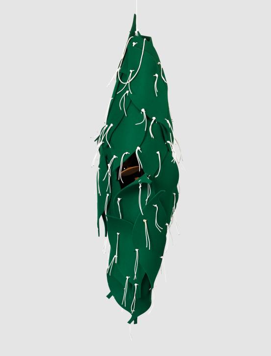 Image: Chrysalis