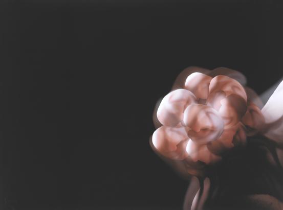 Image: Conception
