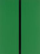 David THOMAS
Green and black reflection painting 2007 
enamel paint and synthetic polymer paint on canvas
244.4 x 183.0 cm

National Gallery of Victoria, Melbourne
Purchased, Victorian Foundation for Living Australian Artists, 2007
2007.715

&copy; David Thomas
