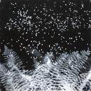 Harry NANKIN
Of Great Western tears / Duet 2 2006 
from The rain series 2006-07
gelatin silver photogram
(a-b) 107.1 x 214.3 cm (image and sheet) (overall)

National Gallery of Victoria, Melbourne
Purchased NGV Foundation, 2007
2007.538.a-b

&copy; Harry Nankin
