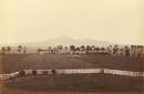 Fred KRUGER
A view of the You Yangs, from Lara Plains (c. 1882) 
albumen silver photograph
18.4 x 27.2 cm (image)

National Gallery of Victoria, Melbourne
Gift of Mrs Beryl M. Curl, 1979
PH338-1979


