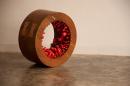 Ranjani Shettar
Indian 1977-
Flame of the Forest 2011
teak, lacquered wood and pigments
61.0 x 61.0 x 29.2 cm
Collection of Talwar Gallery New York/New Delhi and the artist, Bangalore
Photo: Courtesy of Talwar Gallery, New York / New Delhi
&copy; Ranjani Shettar 