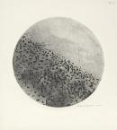 Caption unavailable
&copy; Estate of Fred Williams
