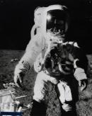 NASA, Washington, D.C.; Charles CONRAD (photographer)
Astronaut Bean, Apollo XII, November 1969, on moon 1969 


gelatin silver photograph
49.0 x 39.0 cm (image and sheet)


National Gallery of Victoria, Melbourne
Presented by Photimport, 1971
PH394-1971



