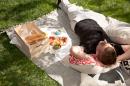 The Art of the Picnic, National Gallery of Victoria
