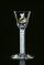 Wine glass