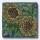 Aster, tile