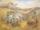 Wimmera landscape