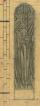 Tracing for window design