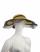 Picture hat