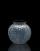Sea urchin, vase