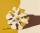 (Untitled) (Flower)