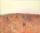Tom Price landscape