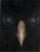 Untitled (Owl from Waldhaus)