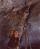Miner drilling, in forward lode, North Broken Hill