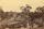 View on the Barwon River, Winchelsea