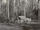 Bush cottage, Blacks' Spur