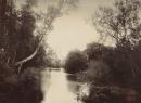 Scene on the Yarra at Yarra Doon