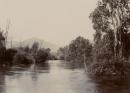 Scene on the Yarra at Healesville