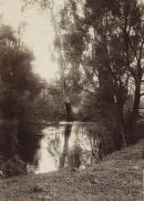 Scene on the Yarra, Healesville