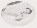 Laudanum #7