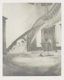 Laudanum #19