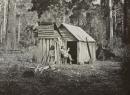 Bush hut, Morley's Flat, Fernshaw
