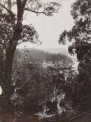 Long Gully. Head of the Lerderderg Gorge at Blackwood