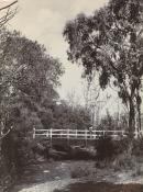 Bridge on the Badger River at Healesville