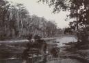 Toorloo Cove, Lake Tyers