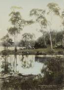 Kaligurnia Cove, Lake Tyers