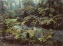 Graceburn Glen, Healesville, Victoria, Australia