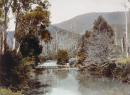 River Yarra, Warburton, Victoria, Australia