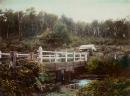 Marysville Bridge, Victoria, Australia