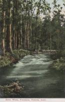 River Watts, Fernshaw, Victoria, Australia