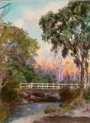 Scene in the Badger River, Healesville