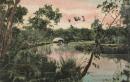 Anglesea River, Geelong, Victoria, Australia