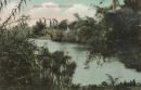 Botanic Gardens, Melbourne