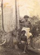 Queensland natives