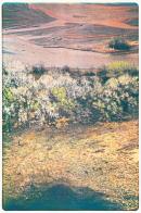 Canyon de Chelley