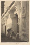 The temple door, Udaipur