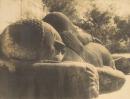 The Dying Buddah