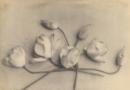 No title (Lotus flowers)