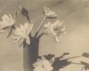 No title (Waterlilies in vase)