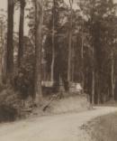 Turn of road