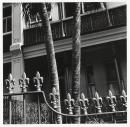 Palm trees, Rocks area, Sydney, March 1975
