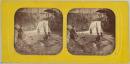 No title (Group of men by waterfall), stereocard