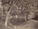 Near Kenilworth