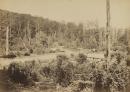 View of the township of Fernshawe